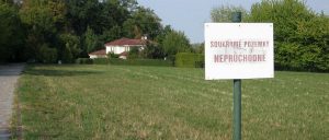 Slatiňany vyhrály první kolo sporu o stavební uzávěru